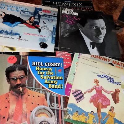 Vintage Record Albums 2nd Set Lot #121 