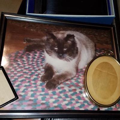 Picture Frames & Photo Books #115 