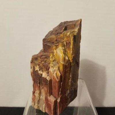 Awesome Piece Of Petrified Wood 4.5" Tall  - #7-A