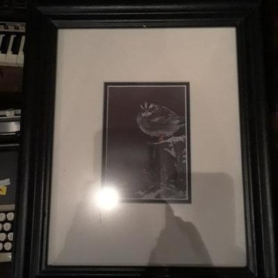 PICTURE OF QUAIL NICE