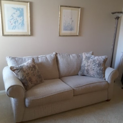 Sleeper Sofa Like New