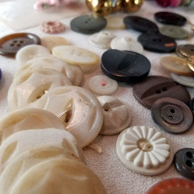 Buttons and Roses