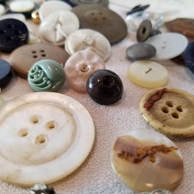 Buttons and Roses