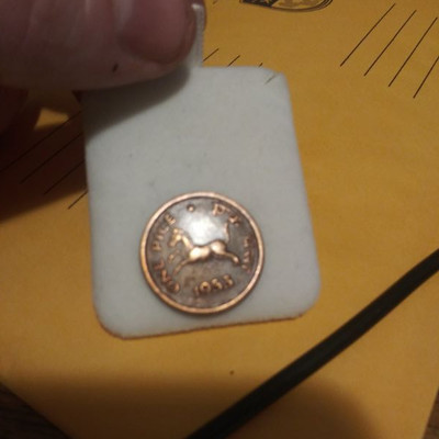 One pice Goverment of India Coin