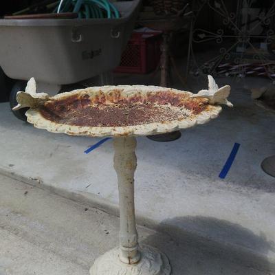 Bird Bath