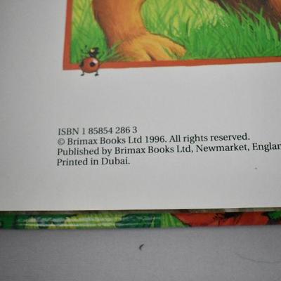 The Wizard of Oz Hardcover Book 1996 Full Color