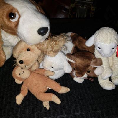 TY beanie babies 
