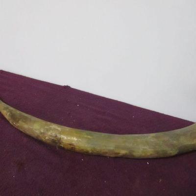 Lot 111 - Longhorn Horn