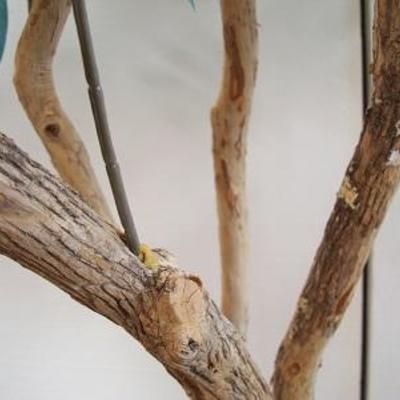 Lot 1017 A - Imitation Tree for Home or Office 