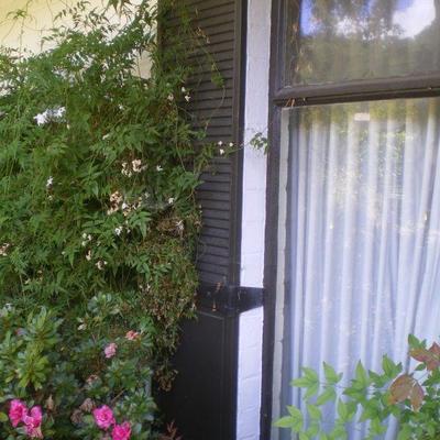 Vintage Exterior Shutter #2