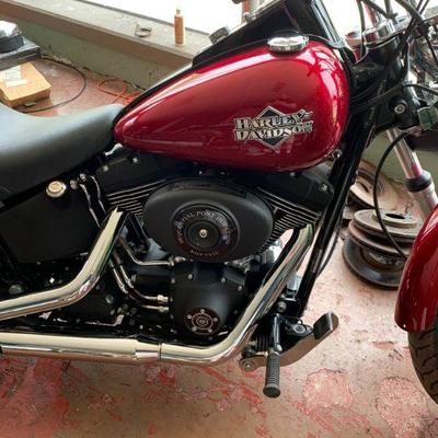 Harley Davidson Softail 