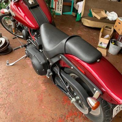 Harley Davidson Softail 