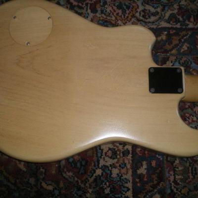 Danny Ferrington Custom Made Fretless Bass Guitar