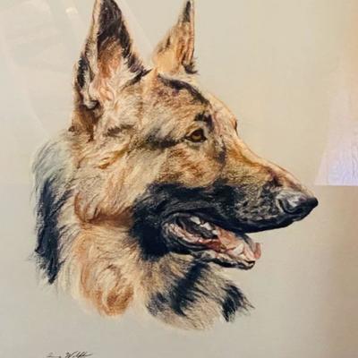Original Anne Wolff World Class Animal Artist Vintage Framed Art
