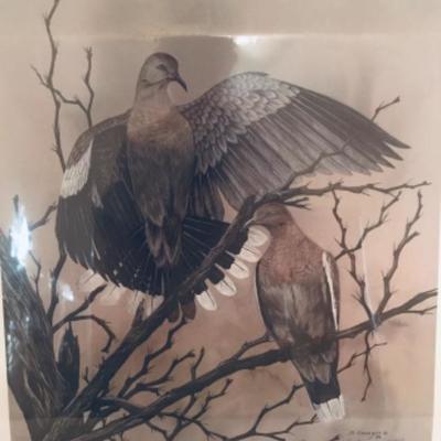 Lot 59 Doves Print by David Cavazos