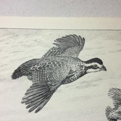 Lot 77 Bird prints by Charles Beckendorf