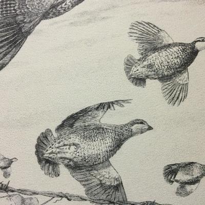 Lot 77 Bird prints by Charles Beckendorf