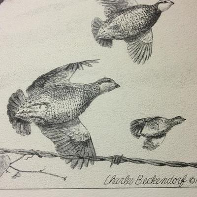 Lot 77 Bird prints by Charles Beckendorf