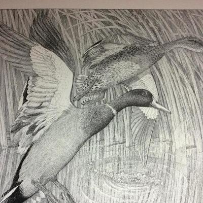 Lot 80 Small Mallard Print by Charles Beckendorf