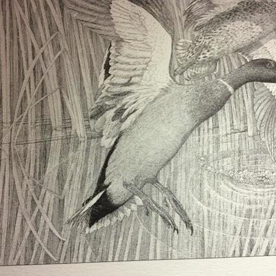 Lot 80 Small Mallard Print by Charles Beckendorf