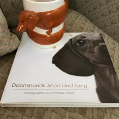 209 Dachshunds Collection 