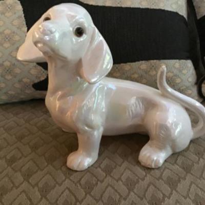 209 Dachshunds Collection 