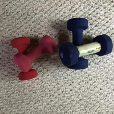 238  2 Sets of Hand Weights