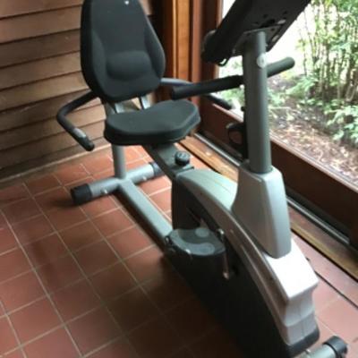 249 SCHWINN 203 Stationary Bike