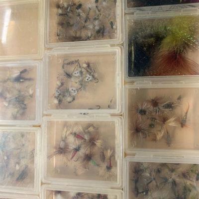 #112 Flies
