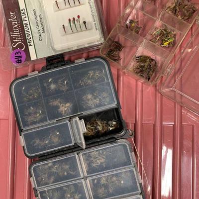#113 Flies and Fly Case