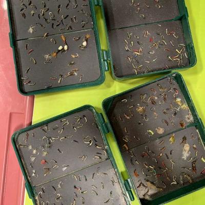 #118 Fly Cases Full of Flies