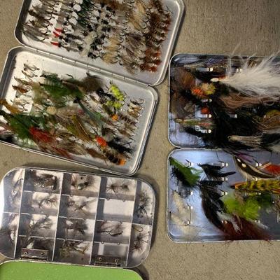 #130 Fly Case Full of Flies
