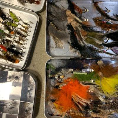 #130 Fly Case Full of Flies