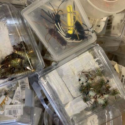 #134 Box Full of Flies.