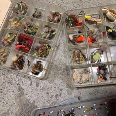 #136 Variety of Flies