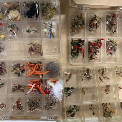 #139 Flies and Misc.