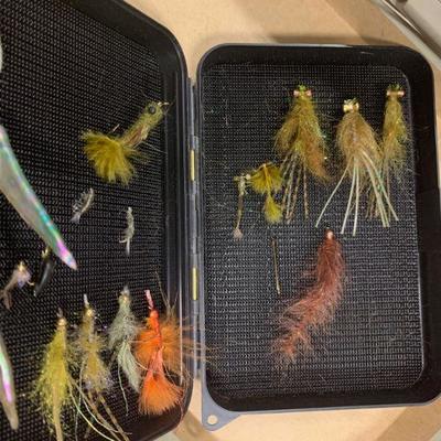 #140 Fly Cases Full of Flies