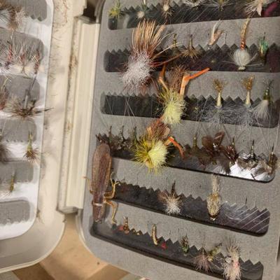 #140 Fly Cases Full of Flies