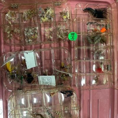 #147 Flies & Misc