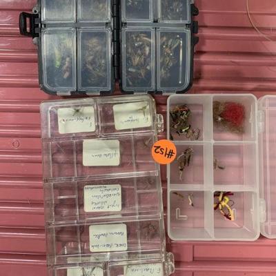 #152 Flies and Case
