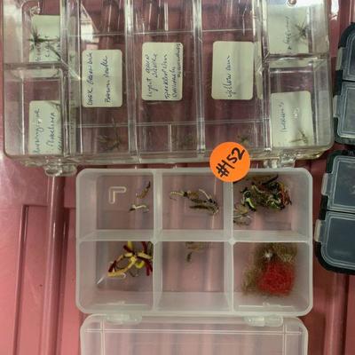 #152 Flies and Case