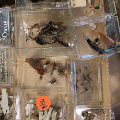 #156 Flies