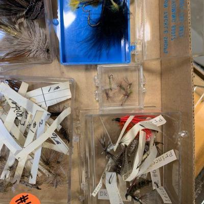 #156 Flies