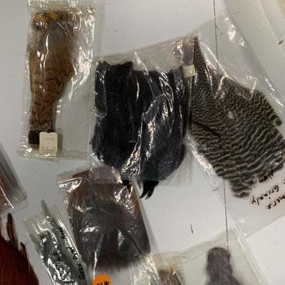 #10 Box of Misc. Feathers