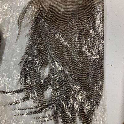 #11 Grey and White Bird Wings