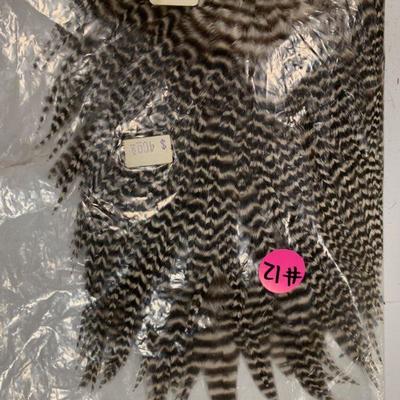 #12 Misc. Bird Wings