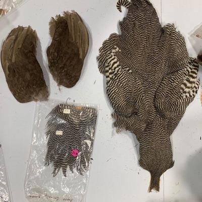 #12 Misc. Bird Wings