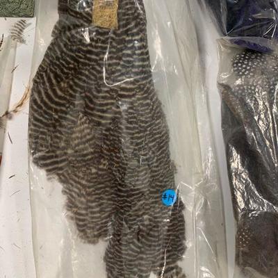 #14 Misc Feather