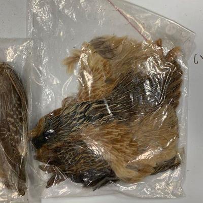 #16 Misc. Bird Feathers