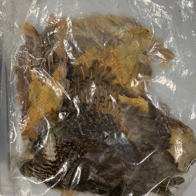 #16 Misc. Bird Feathers